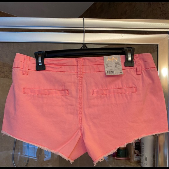 NEW Daytrip Shorts from Buckle - Picture 7 of 10